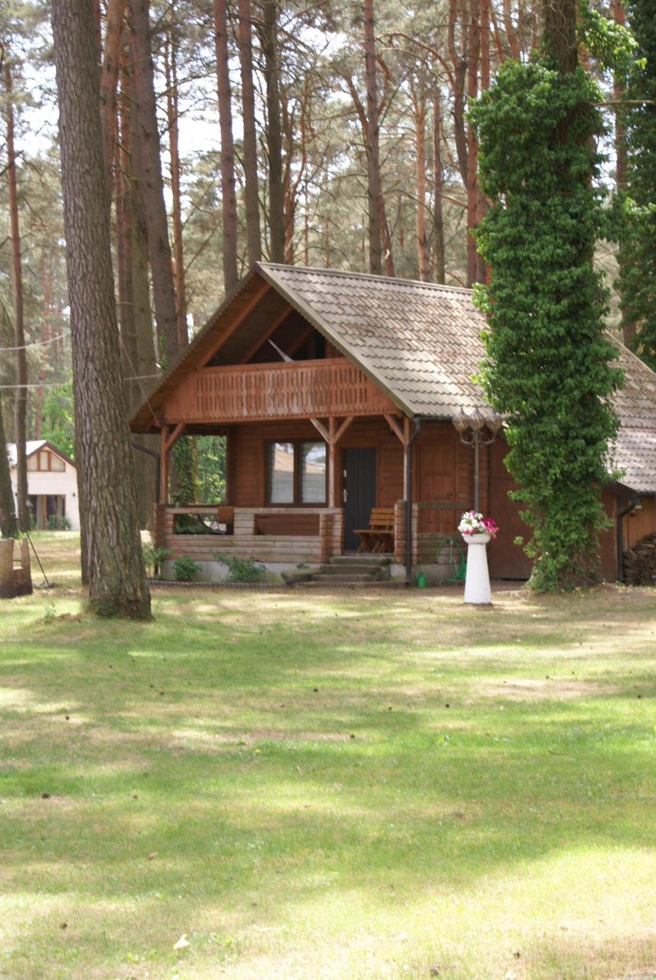 Mazurski Osrodek Szych Bogusze Bagian luar foto